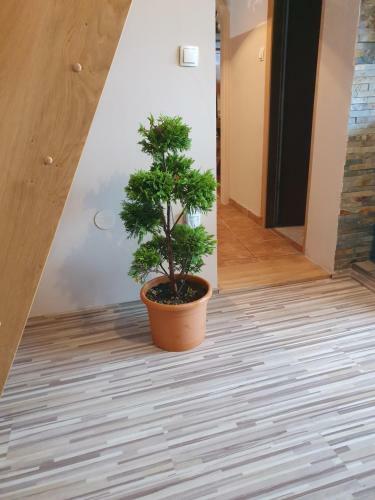 Apartment At Tony