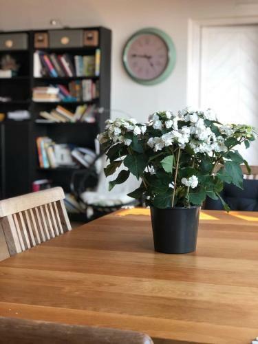 Apartamento St. Georges Atelier