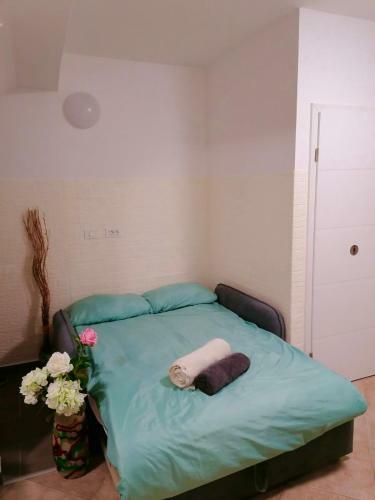 Studio Apartma Sara
