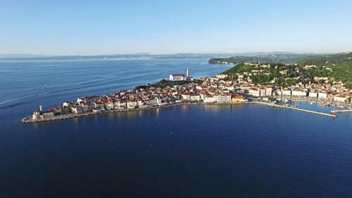 Apartamento Blue Piran