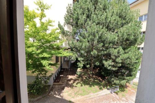 Hostal Guesthouse Veles
