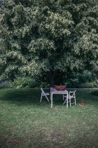 Bed & Breakfast Mala Kmetija