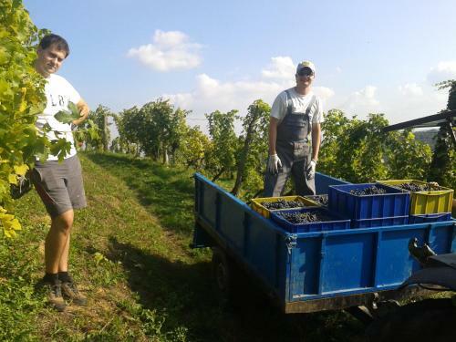 Agroturismo Grobelnik Tourist Farm