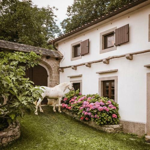 Tmbin's Barn - Nature, Horses, Family