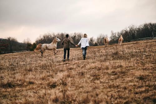 Tmbin's Barn - Nature, Horses, Family