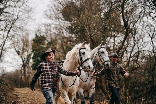 Tmbin's Barn - Nature, Horses, Family