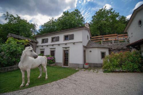 Tmbin's Barn - Nature, Horses, Family