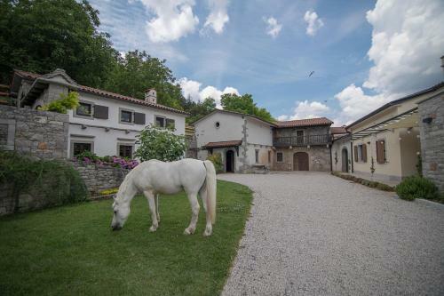 Tmbin's Barn - Nature, Horses, Family