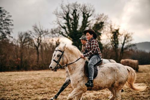 Tmbin's Barn - Nature, Horses, Family