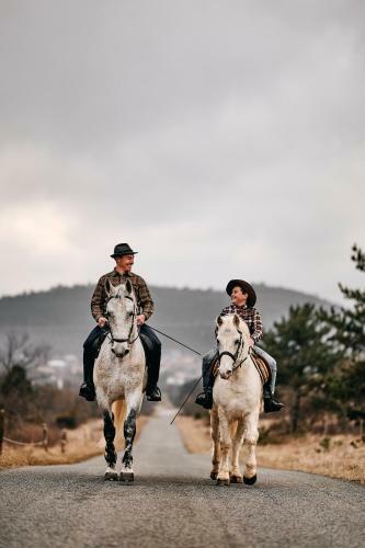 Tmbin's Barn - Nature, Horses, Family