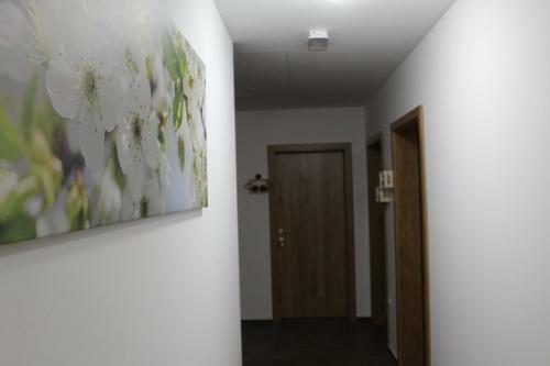 Agroturismo Vdovi? Guest House