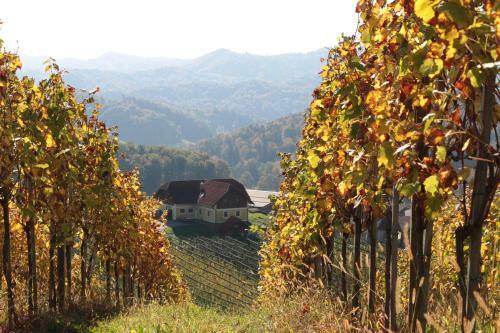 Agroturismo Vdovi? Guest House