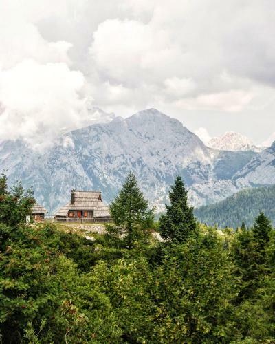 Ko?a Ojstrica - Velika Planina