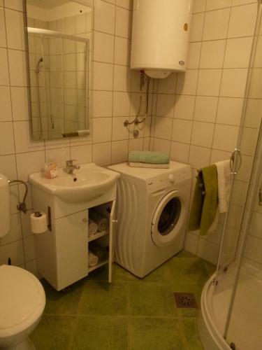 Apartment Soca Tolmin