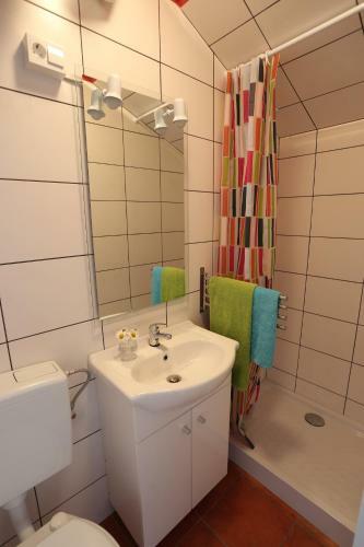 Apartment Soca Tolmin