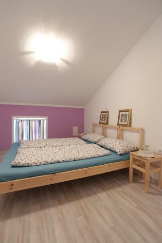 Apartment Soca Tolmin