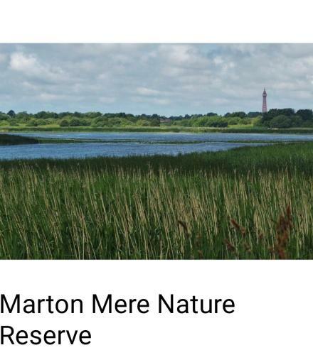 Apartamento Luxury Latest Model Holiday Home