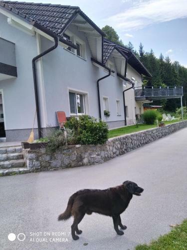 Apartamento The Bears Lair