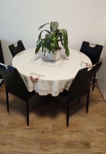 Apartment Rose