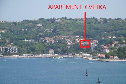 Apartment Cvetka