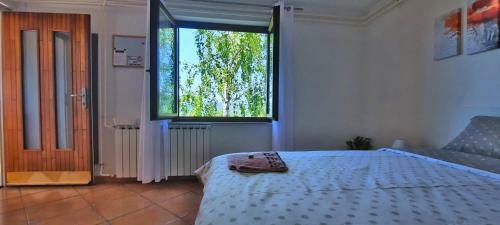 Apartma Burja