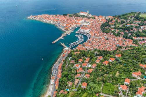 Luxury Apartments Portoroz