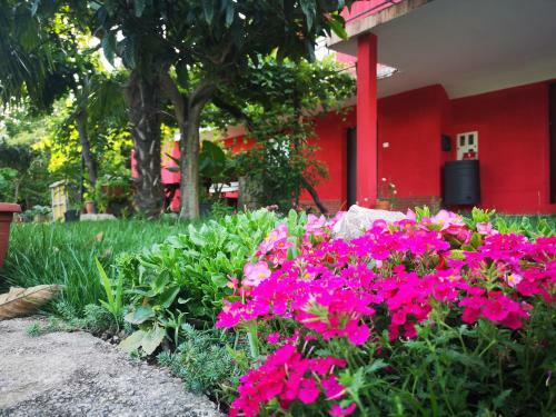 Apartments Franca