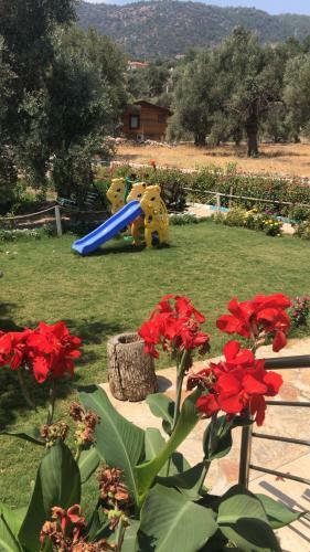 Oliva Casa Apart Hotel
