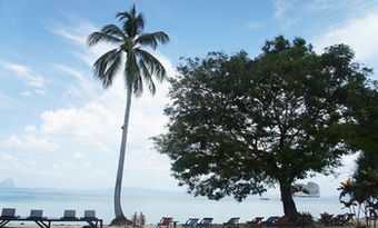Hotel Thapwarin Resort
