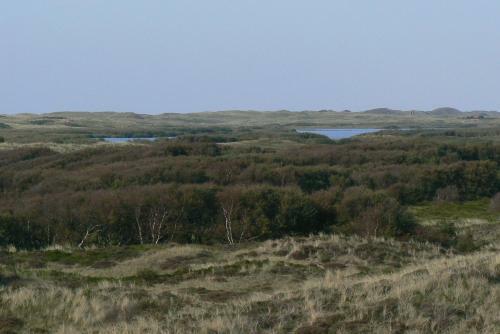 Noordzeehuisje