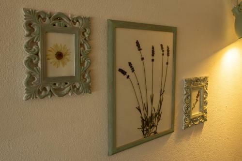 Apartments Laznica