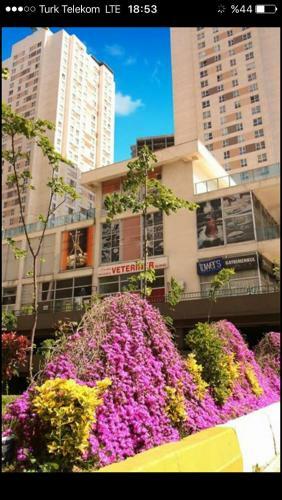 Apartamento Havuz Manzaral? E?yal? 1+1 E-5 E Yak?n Residence
