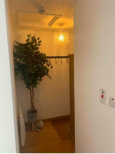 Apartamento Pirates Rest