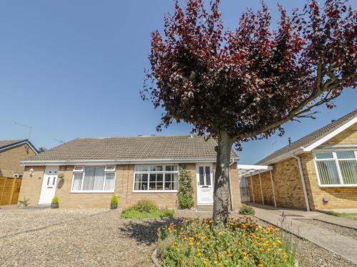 Seashells