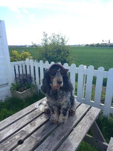 Bridlington's Bolt Hole Chalet
