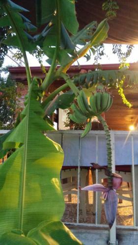 Apartamento Garden Evita