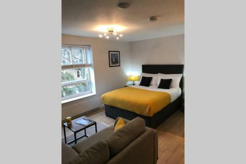 Alison15 - Superior Clifton Studio Apartment