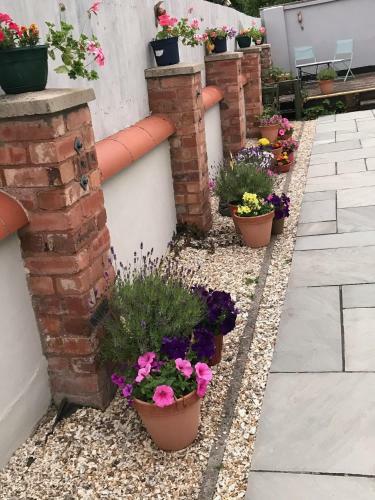 Hostal Fox View Guesthouse