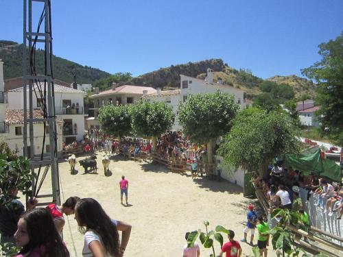 Apartamento Refugio Del Segura
