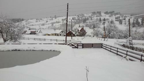 Lodge Cottage Ozerniy
