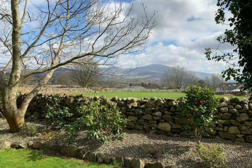 Snowdonia Cabin