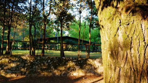 Campeggio Al Bosco