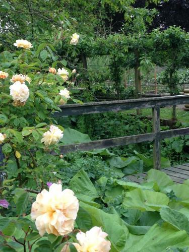 Agroturismo Hewletts Mill