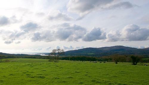 Galloway View