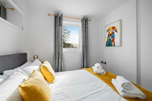 Canal Park Central Cardiff Ground Floor Apartment