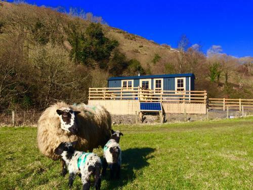 Lodge Mid Wales Luxury Huts