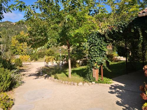 Bed & Breakfast L'ogliastru