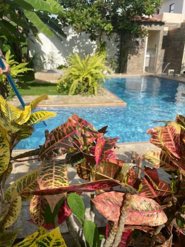 Apartamento Departamento En Esmeraldas