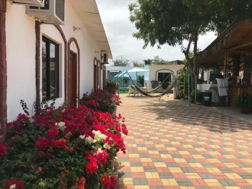 Hostal Casa Blue Tortuga