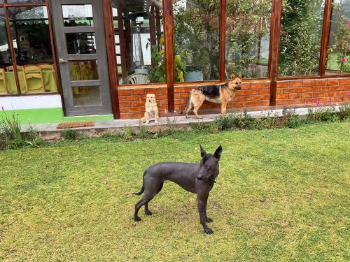 Hotel Resort Alapa